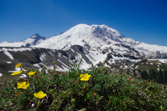 Berg und Tal